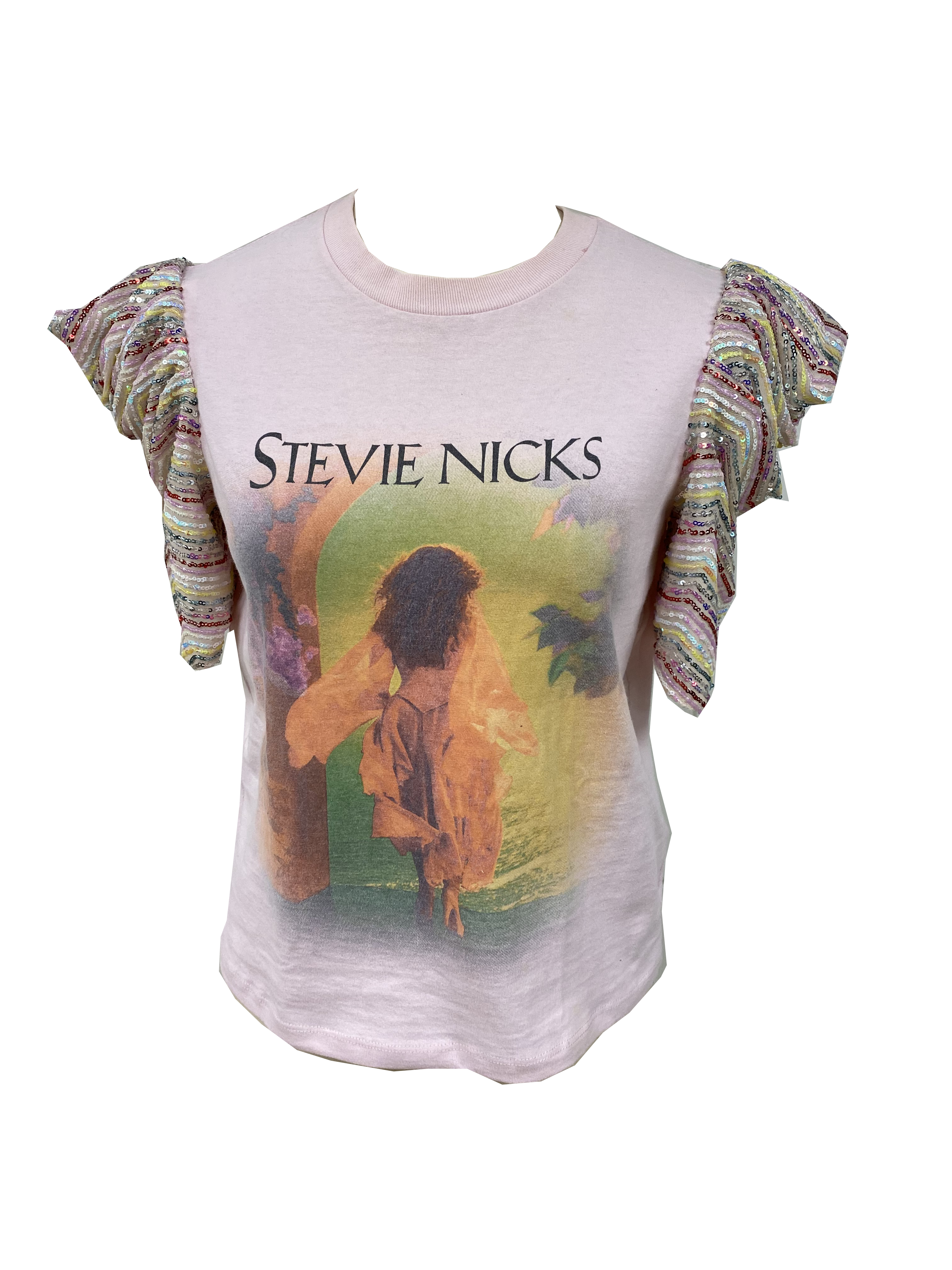 Stevie Nicks Fly