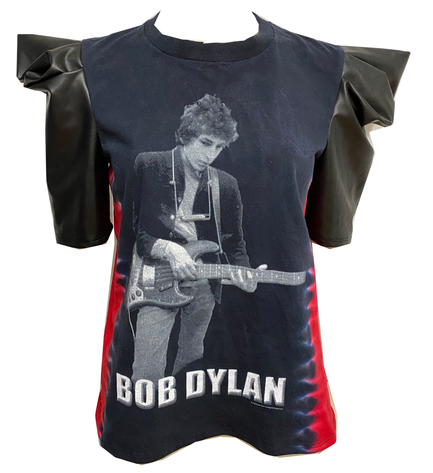 Bob Dylan “Fly”